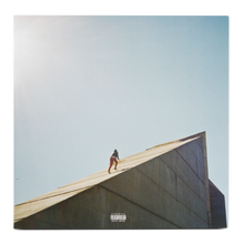 Load image into Gallery viewer, FREUDIAN BLUE VINYL
